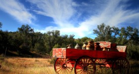 CherryCreekRanch13